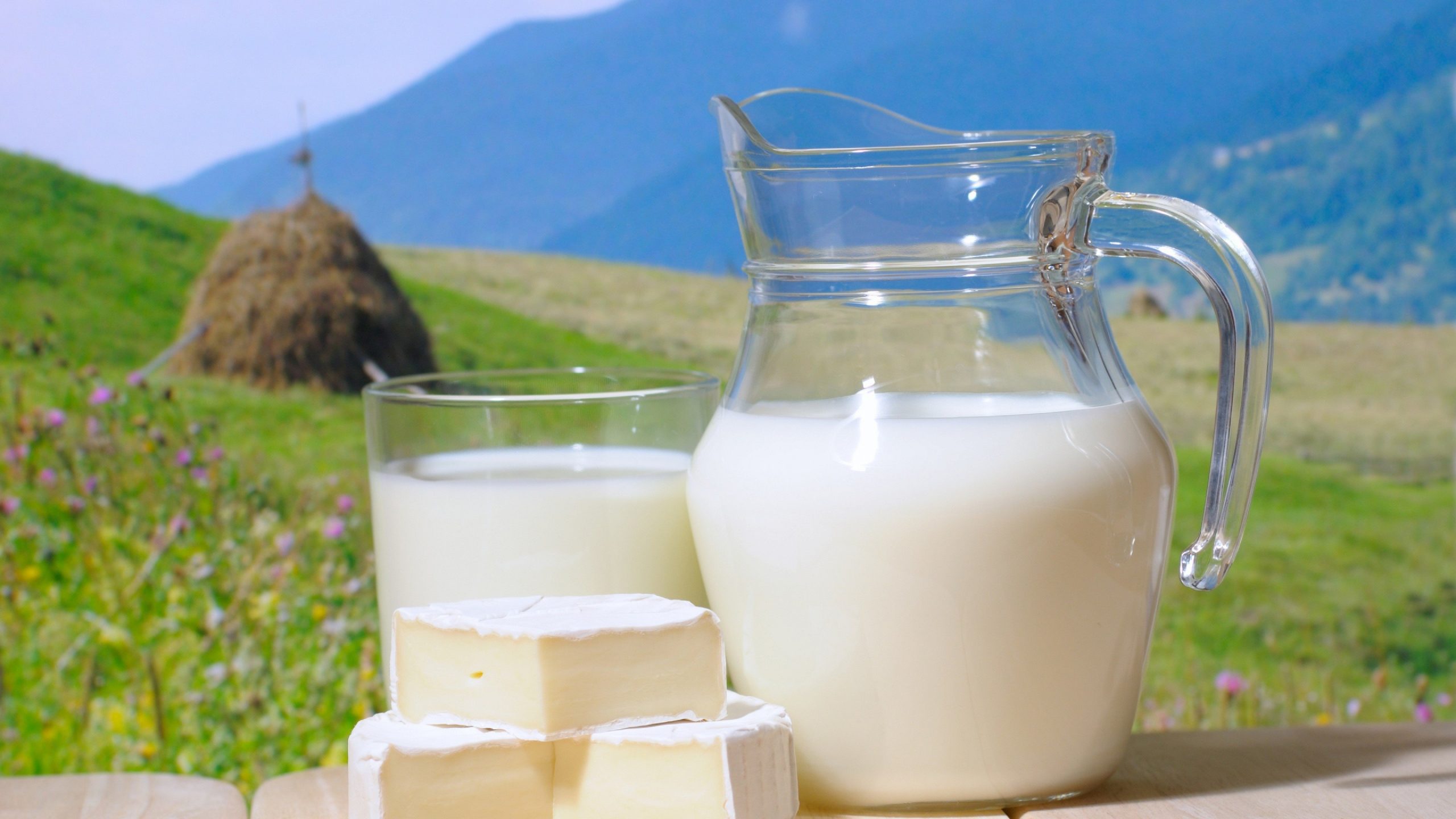 Milk Wallpaper Scaled