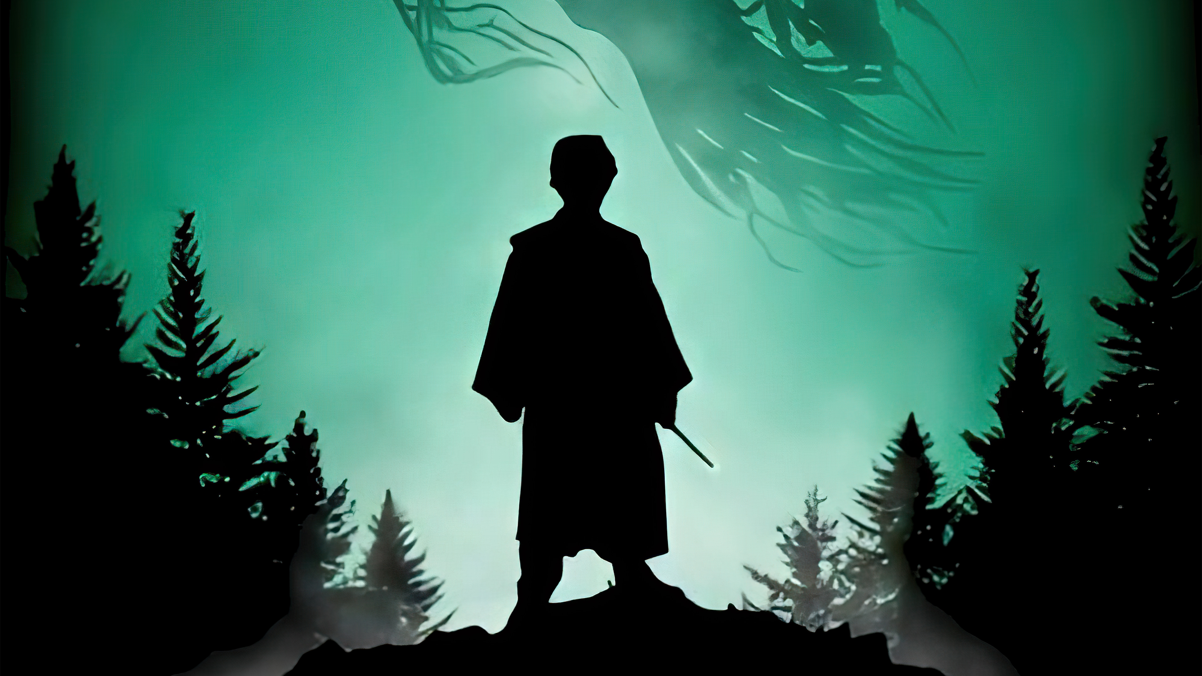 Harry Potter Following The Darkness 4k Wallpaper HD Movies