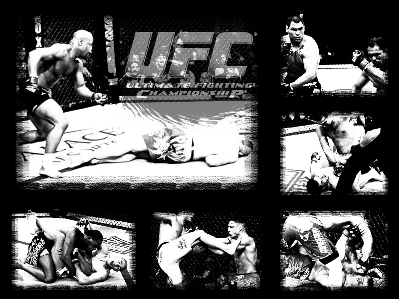Check Out These Cool Ufc Desktop Wallpaper A Few Forum Members Over