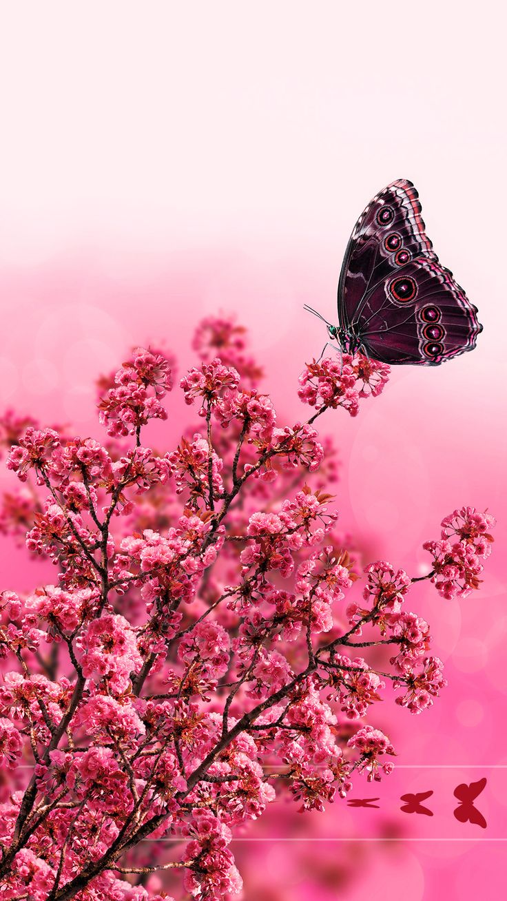 Cute iPhone Lock Screen Couple Wallpaper