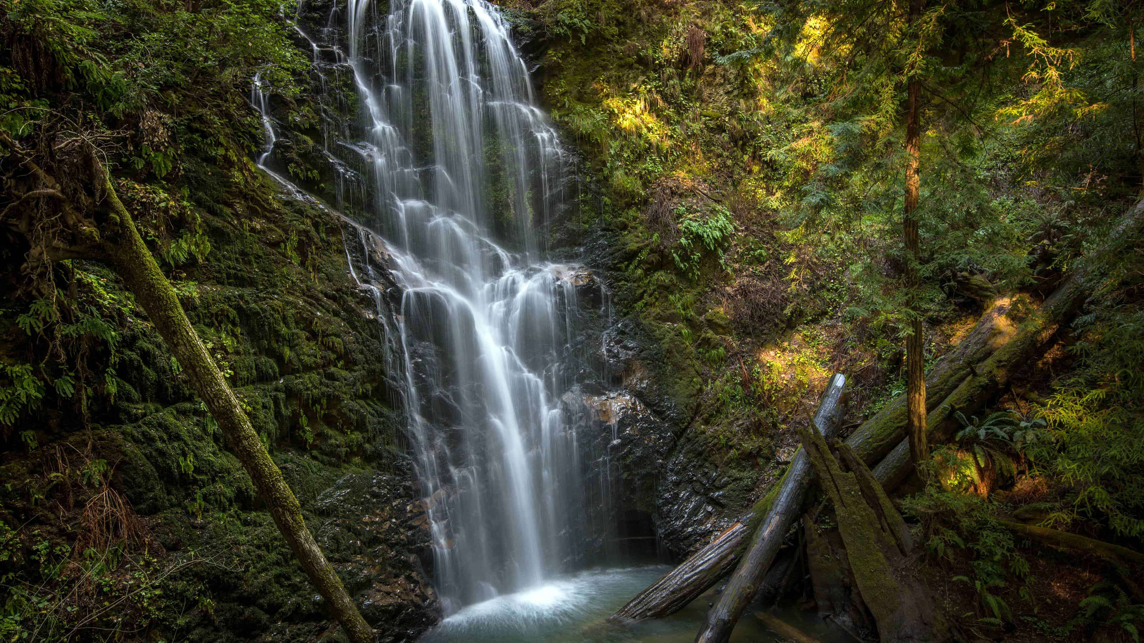 Berry Creek Falls Big Basin Redwoods State Park California United
