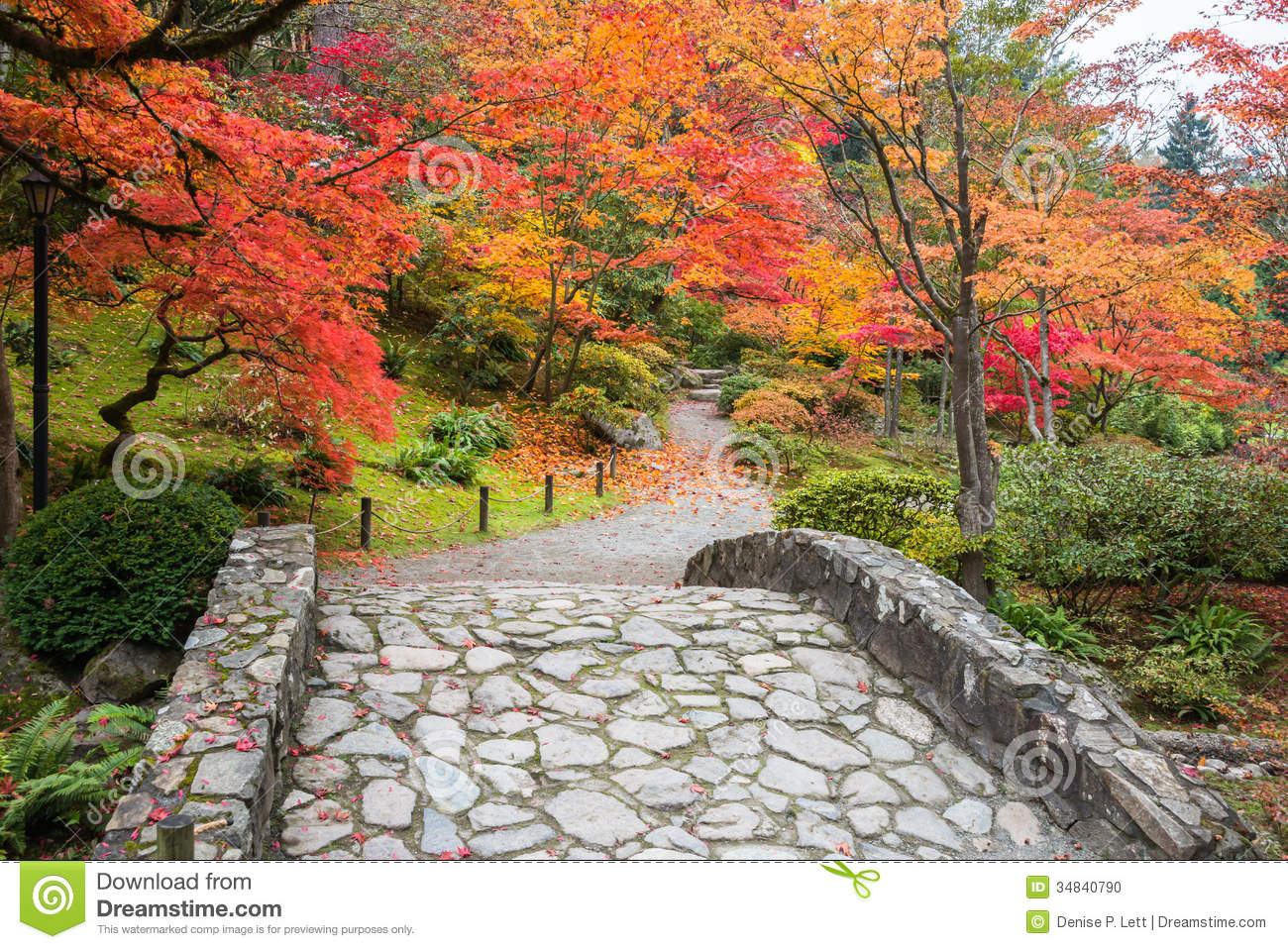 Pin Autumn Path Colors Beautiful Nature Landscape 1050x1680jpg On