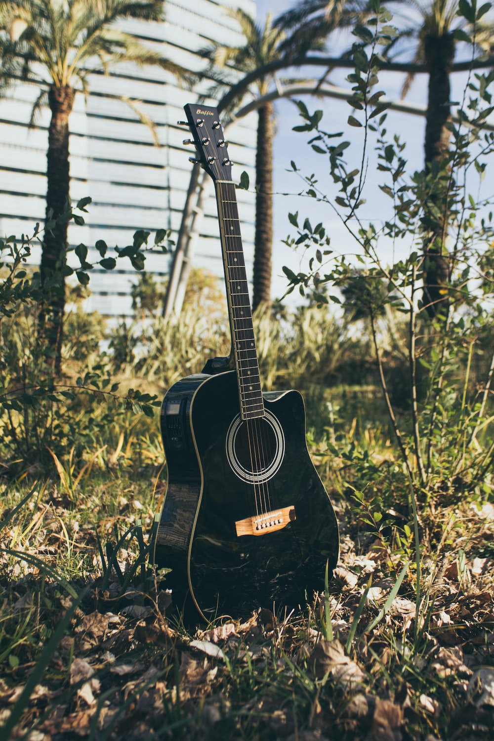Black Guitar Pictures Image