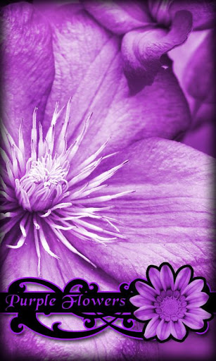 Purple Flowers Live Wallpaper For Android