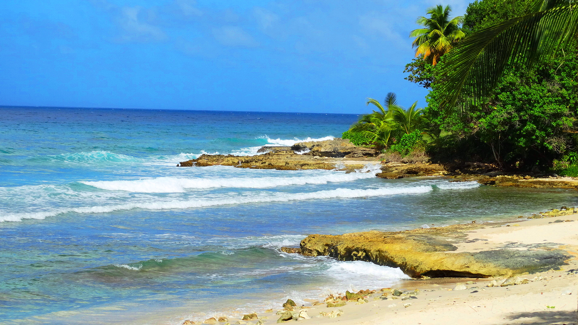 Wallpaper Beaches Puerto Croix