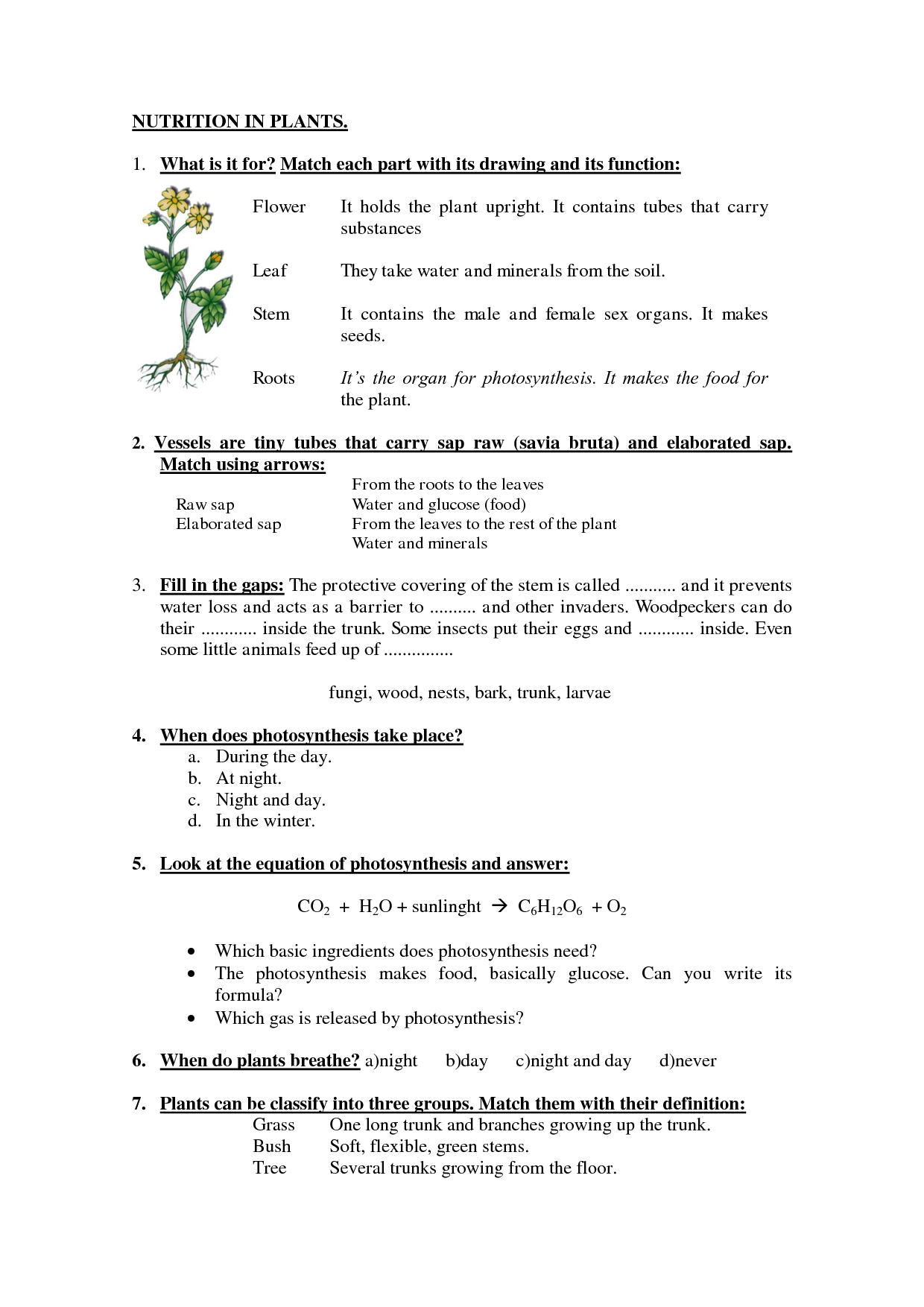 Plant Nutrition Worksheet Pc Android iPhone And iPad Wallpaper