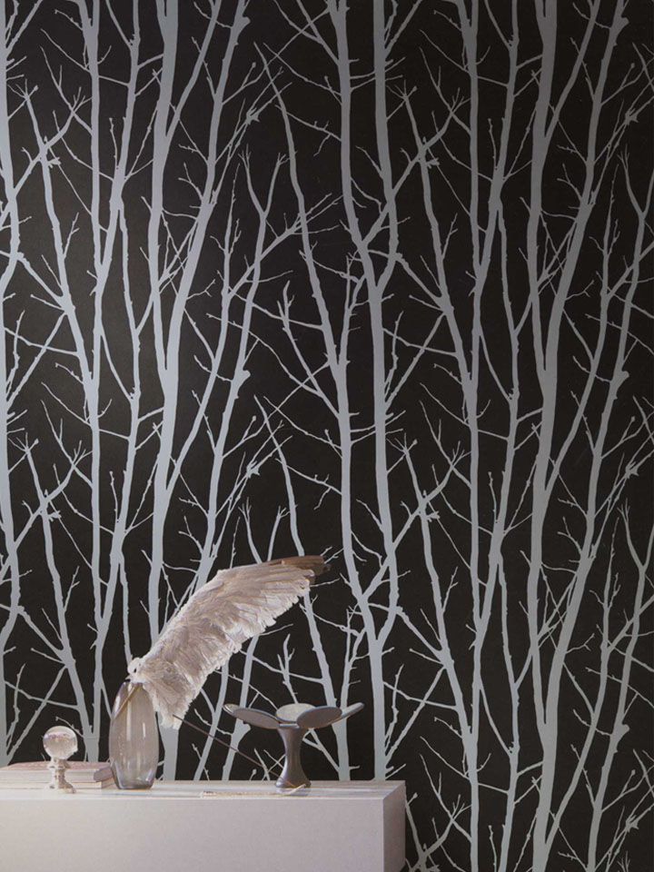 Birch Tree Wallpaper From Shand Kydd Imagination Pattern Sk175201