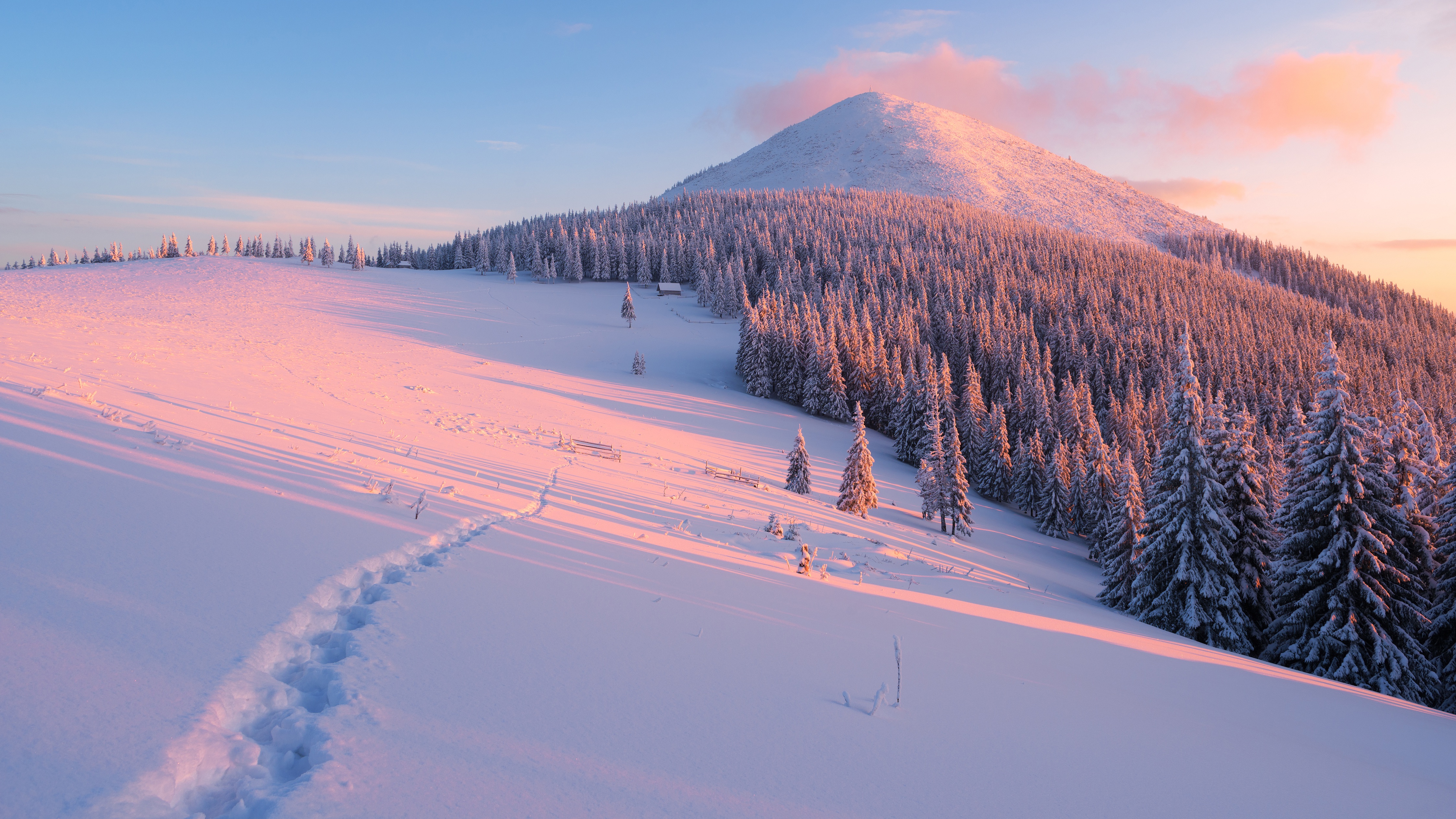 Mountain Forest Snow Nature Winter 4k Ultra Hd Wallpaper
