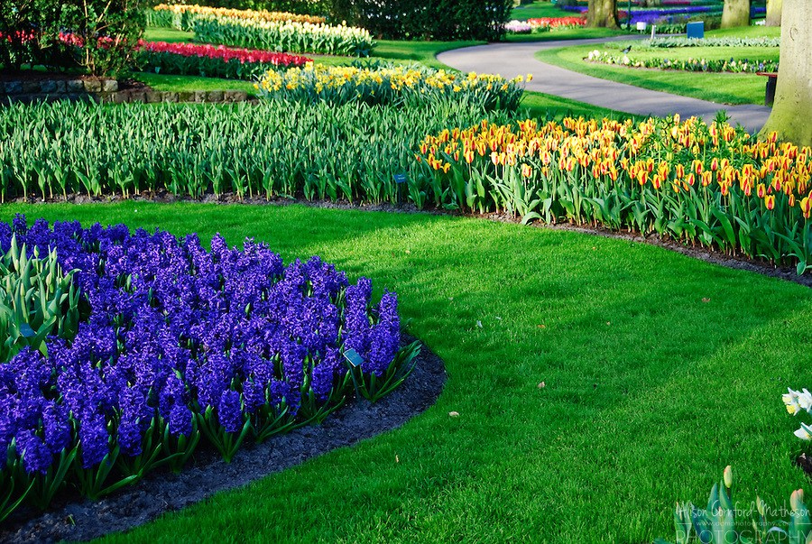 Gardens Lisse Holland Photography Keukenhof Garden Spring Wallpaper