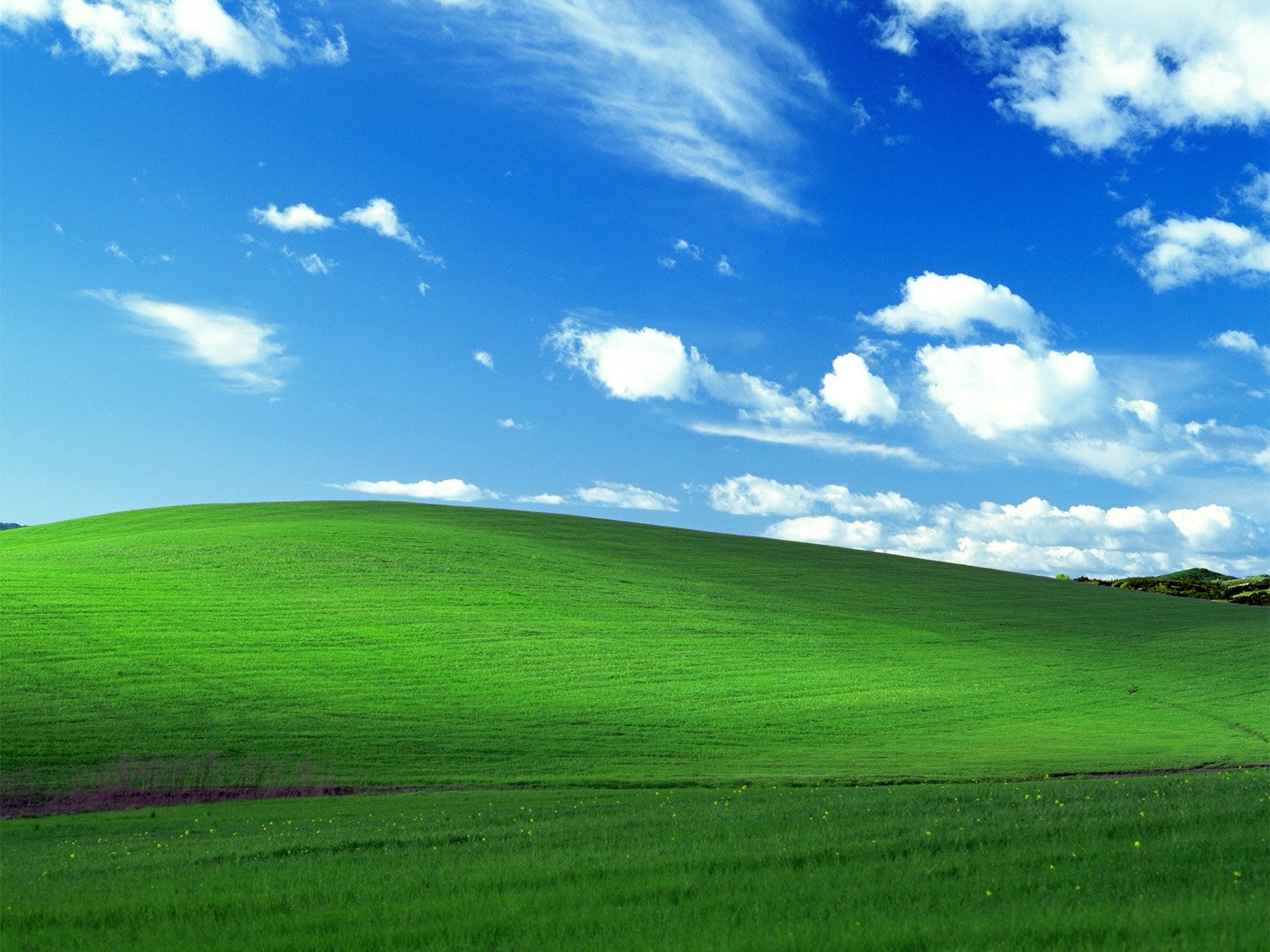 Windows Microsoft Background On