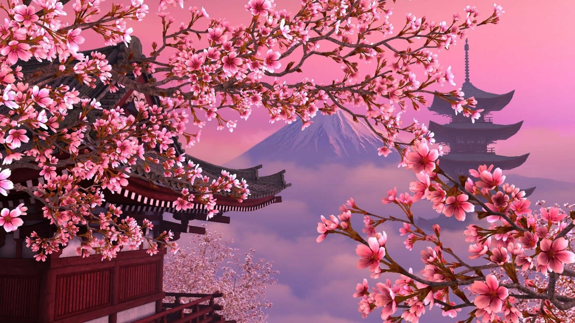 Pink Cherry Blossom Wallpaper