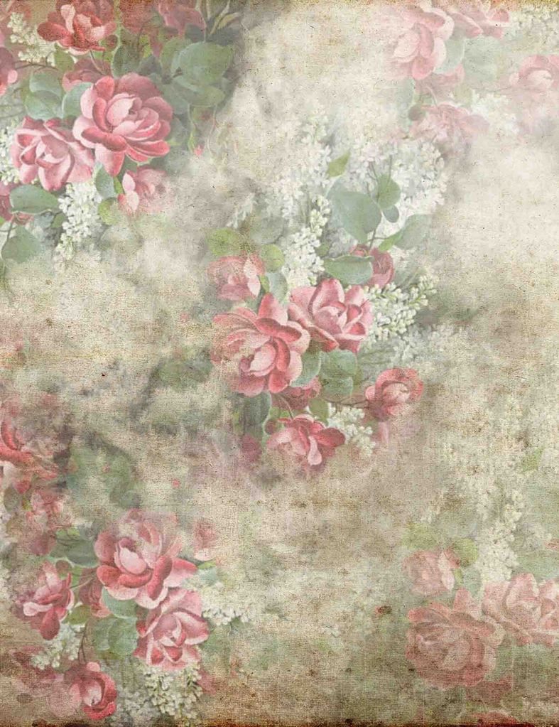 Moldy Red Rose Wallpaper Backdrop For Photography