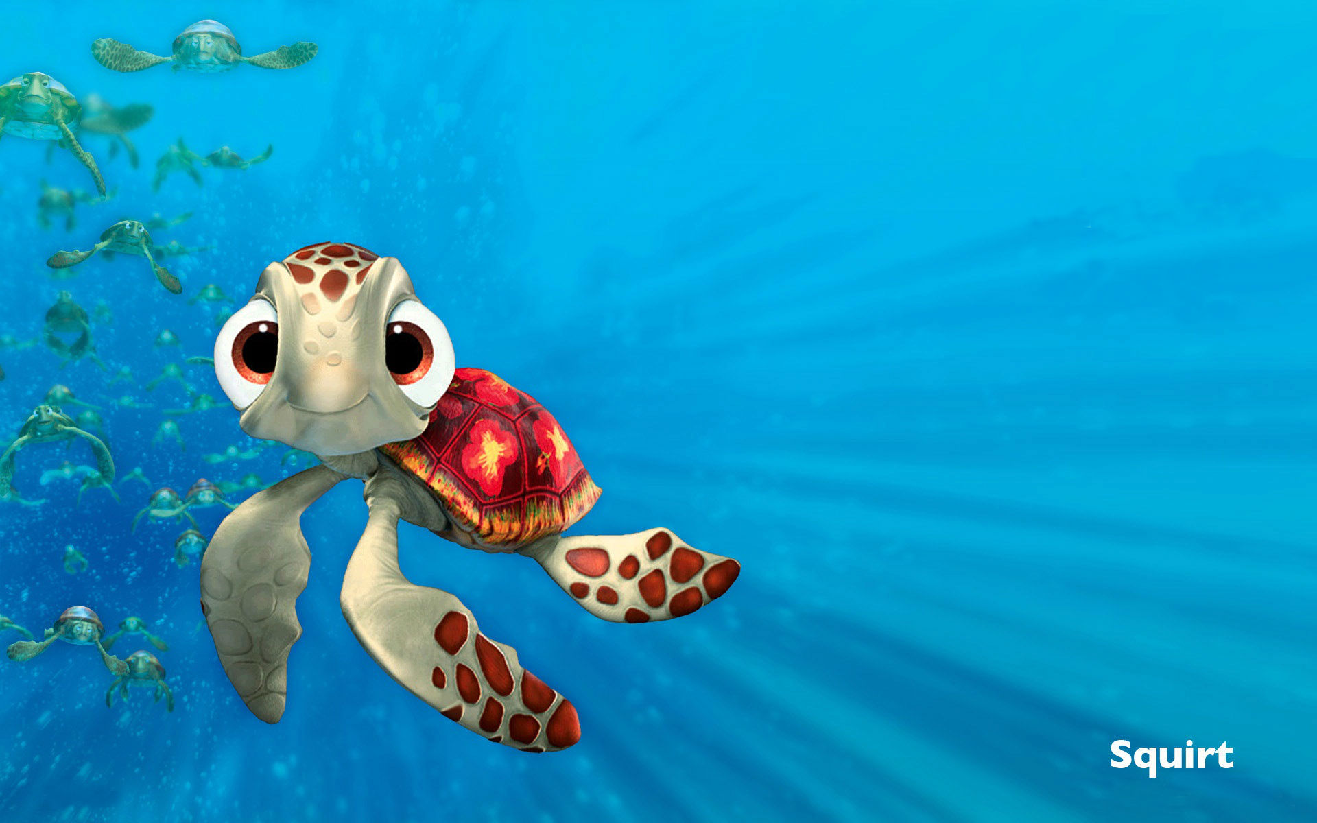 Finding Nemo Squirt HD Wallpaper Res