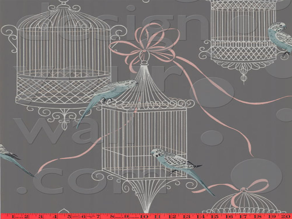 Parakeet Bird Cage Vintage Wallpaper Jpg