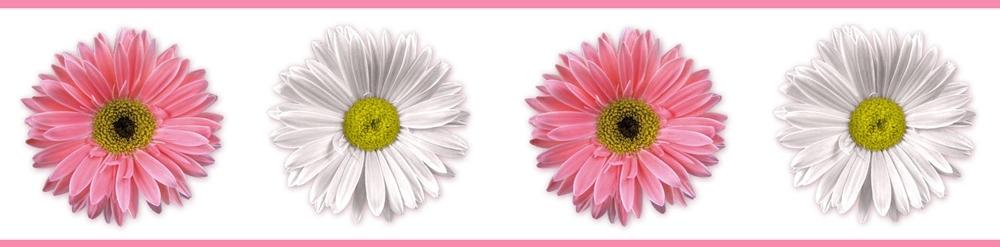 New Pink White Gerber Daisy Flowers Wallpaper Border Girls Floral Wall