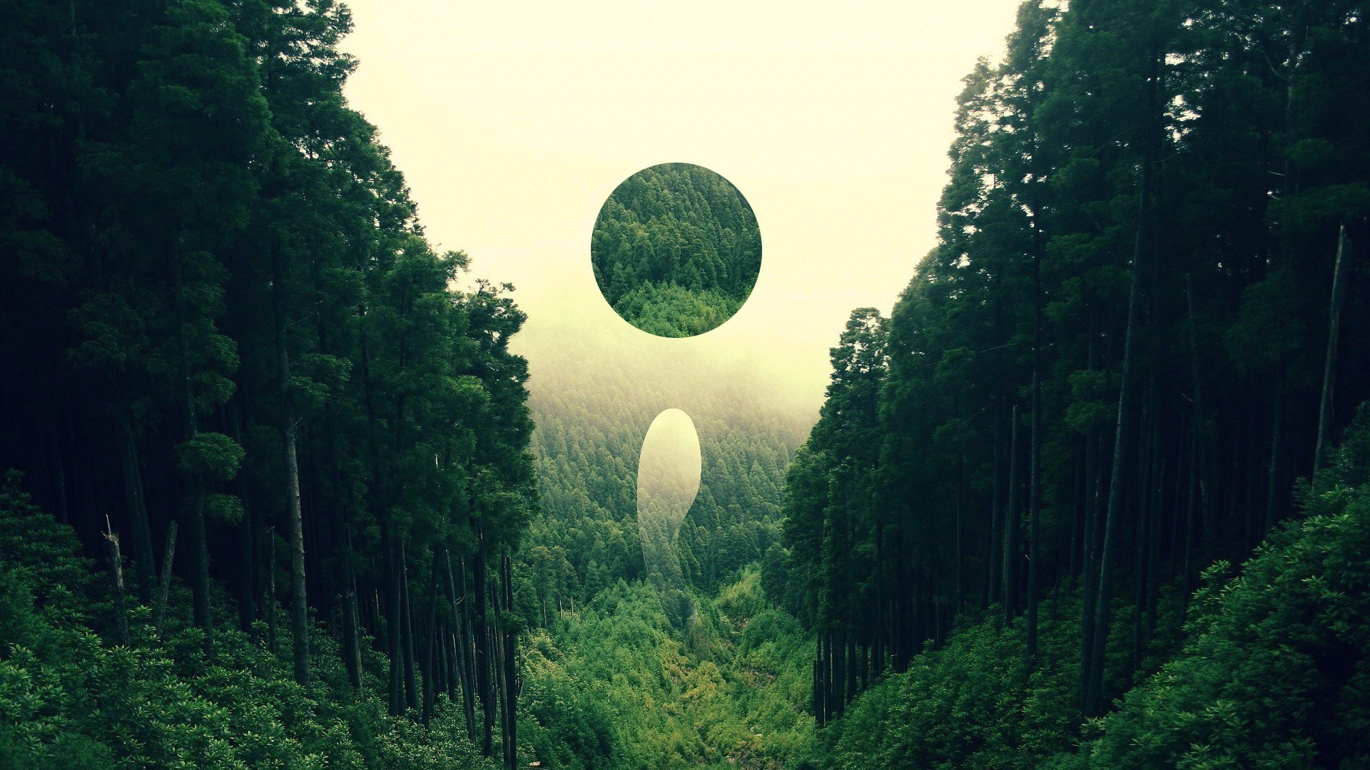 Forest Landscape Nature Abstract Digital Art Circle