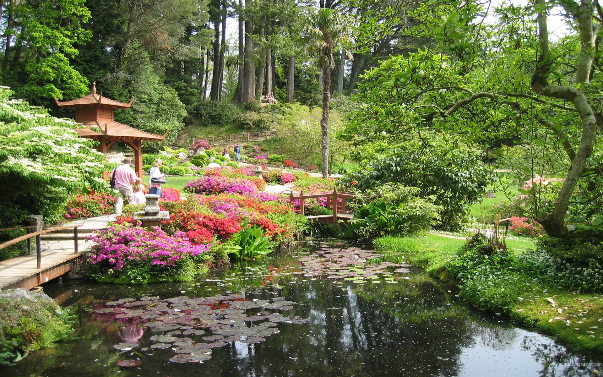 Home Nature Landscapes Japanese Garden Wallpaper