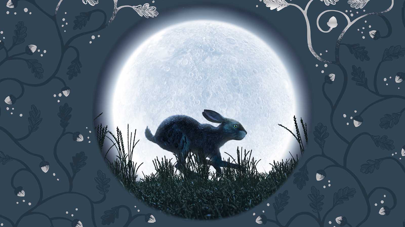 Everything You Need To Know About Watership Down Pan Macmillan