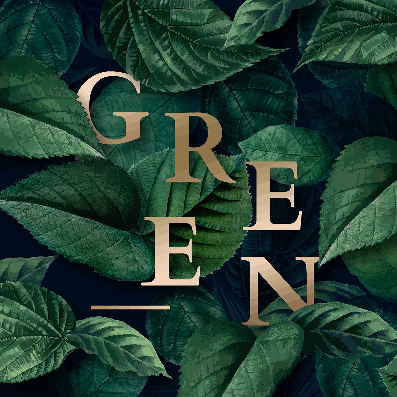 Green Jungle Background Royalty Vector