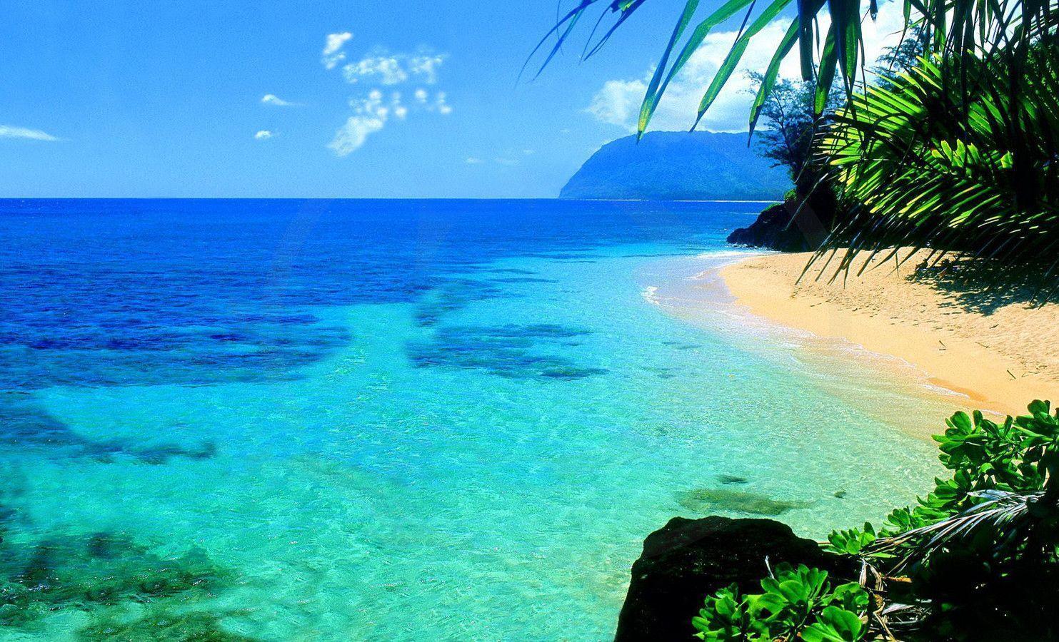Free download Hawaii Beach Desktop Background Zoom Wallpapers [1504x896