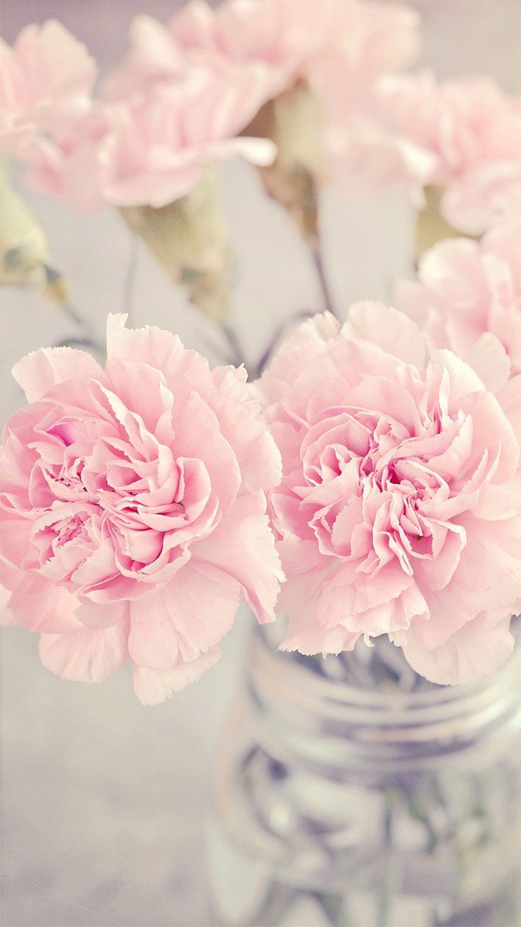 Pretty Pink Flowers Pastel Wallpaper iPhone Background Phone