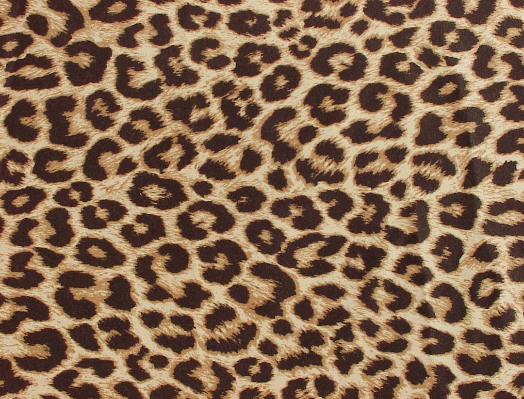 Leopard Print Skin Wallpaper HD For Desktop