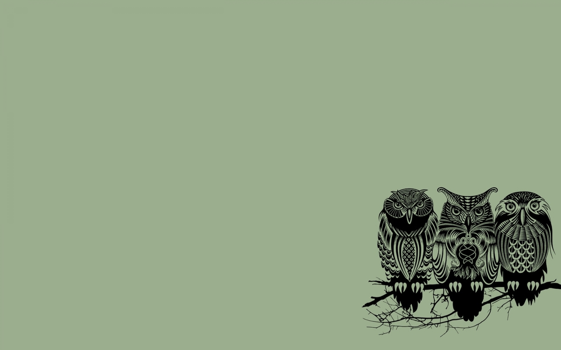 Desktop Background Owl Wallpaper Teahub Io