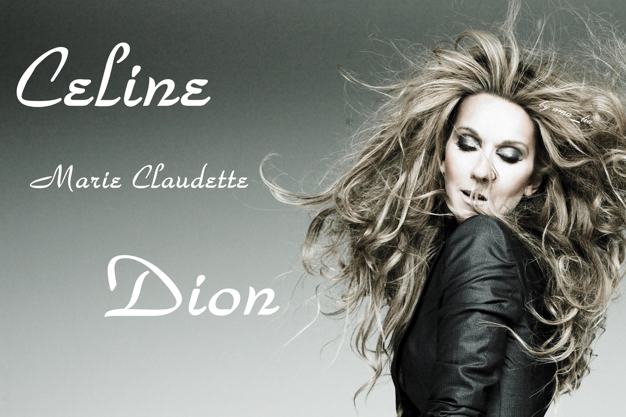 Celine Dion HD Wallpaper Background Image Id
