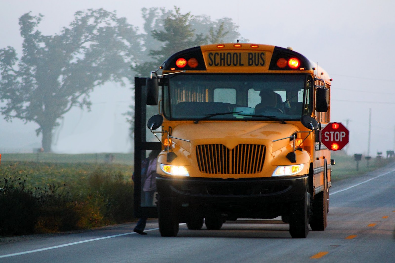 Wallpaper And Pictures School Bus In The Morning HD