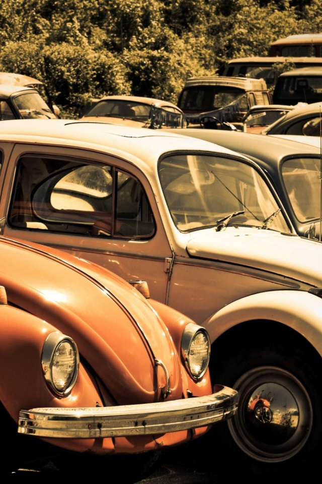 Old Volkswagen Beetle Junkyard Mobile Wallpaper Mobiles Wall