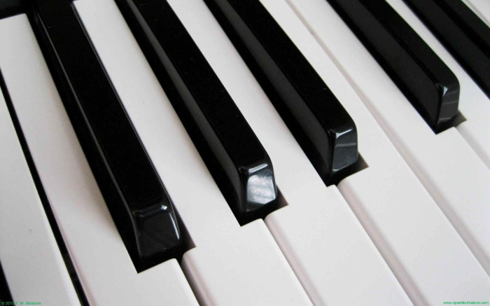Piano Keys   Sparkle Key Piano Piano Keys