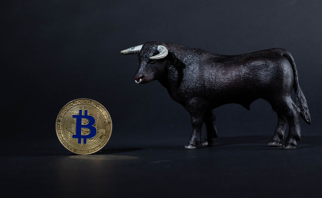 Black Bull With Golden Bitcoin On Background