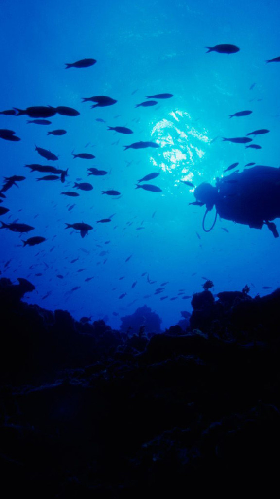 Scuba Diving Wallpaper iPhone