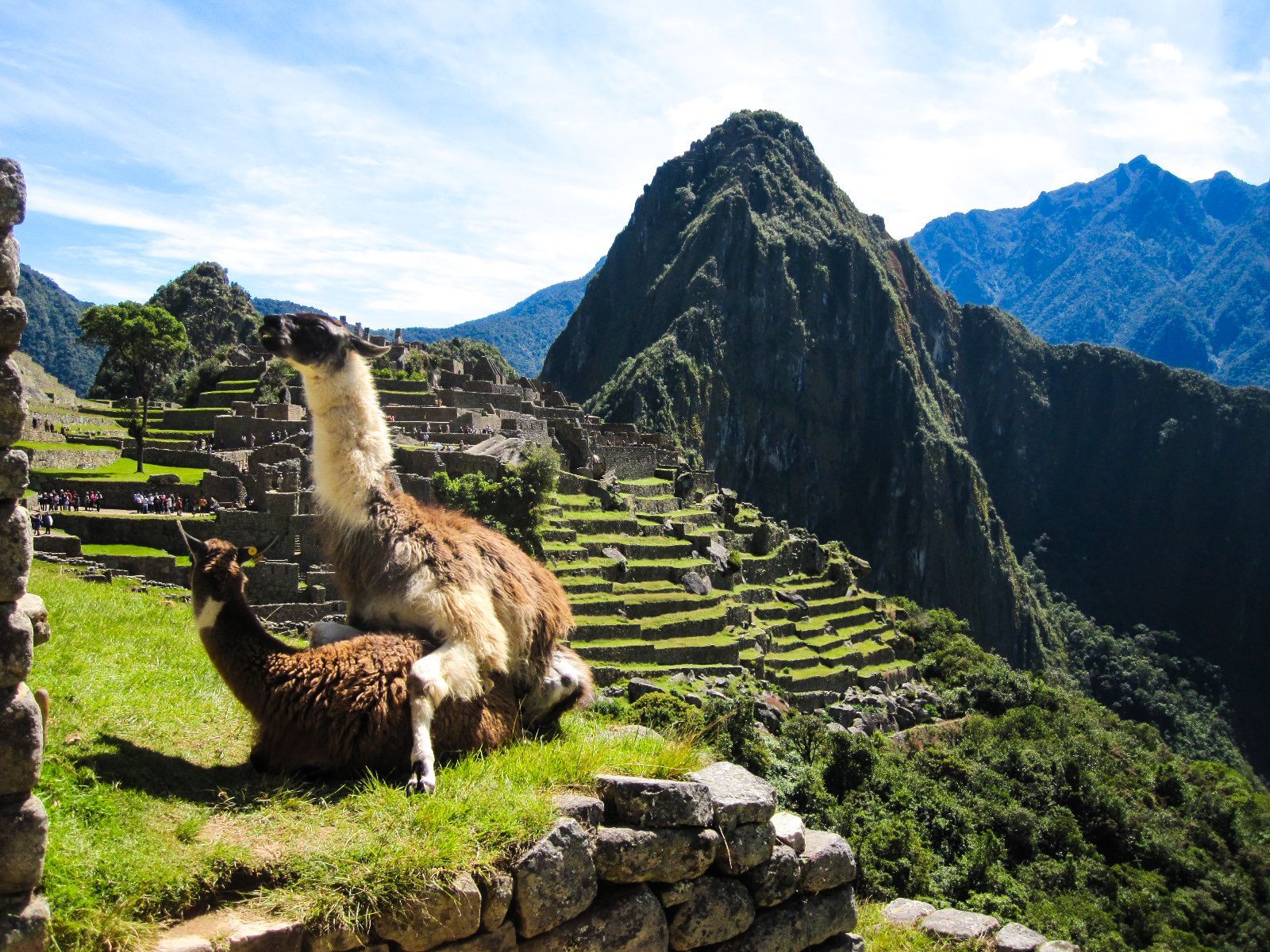 I Was Browsing The Web For Machu Picchu Wallpaper When Suddenly