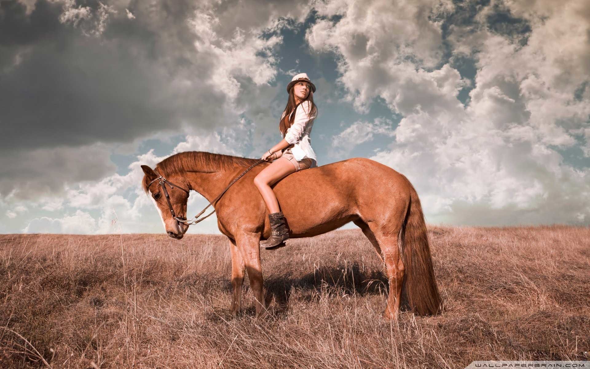 Equestrian Wallpaper