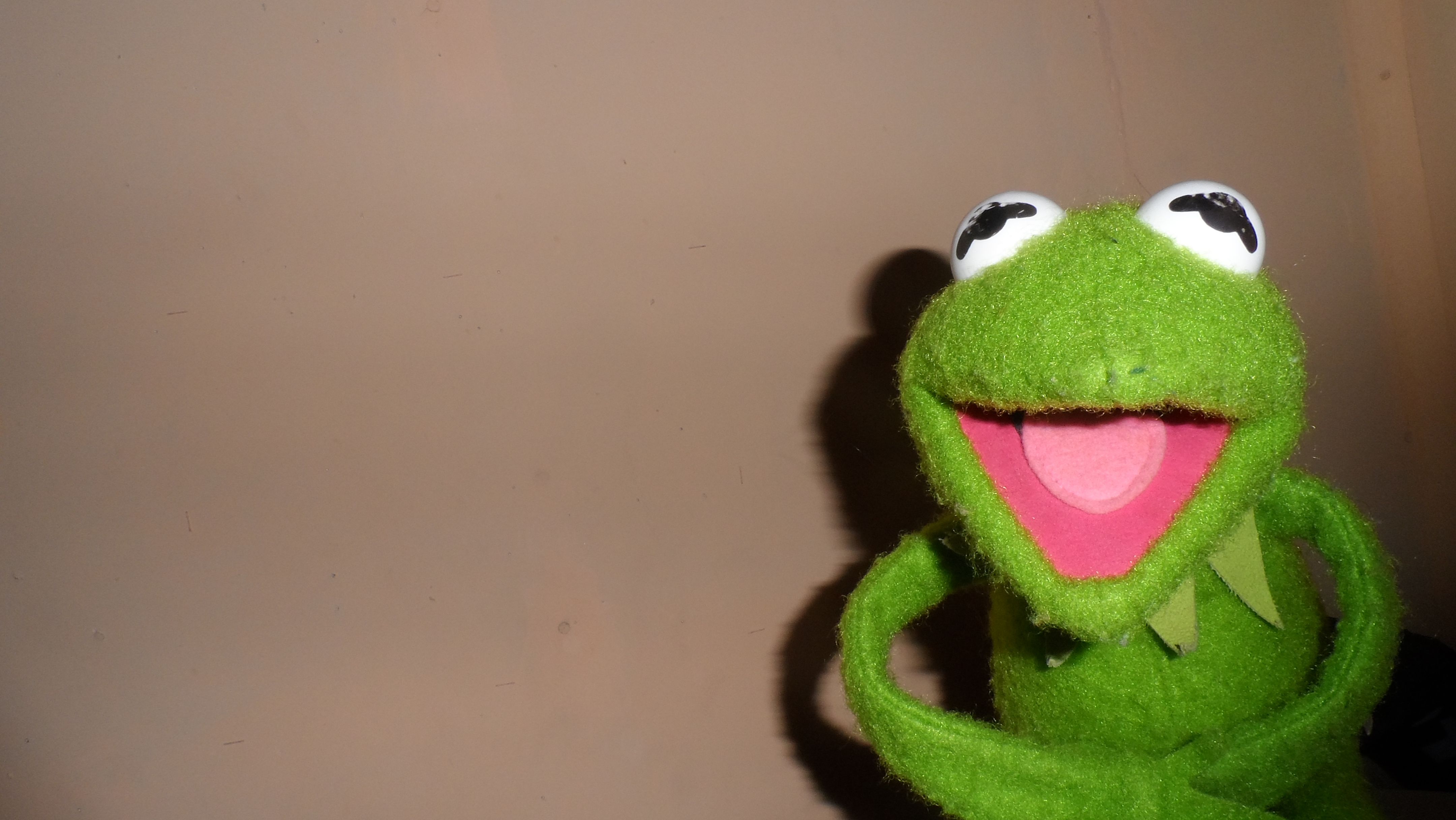 Kermit The Frog HD Wallpaper On