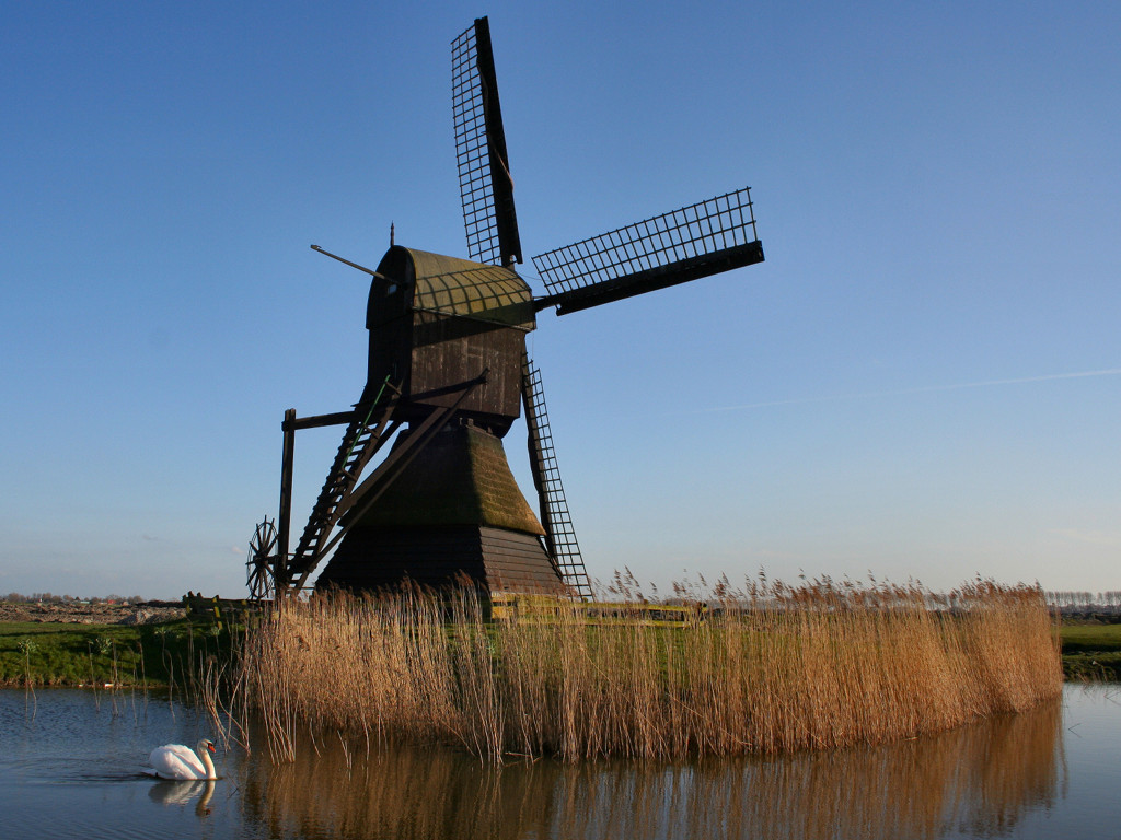 Windmill Wallpaper Pictures