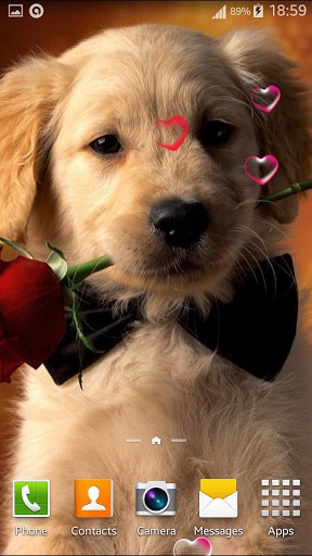Puppy Live Wallpaper Android