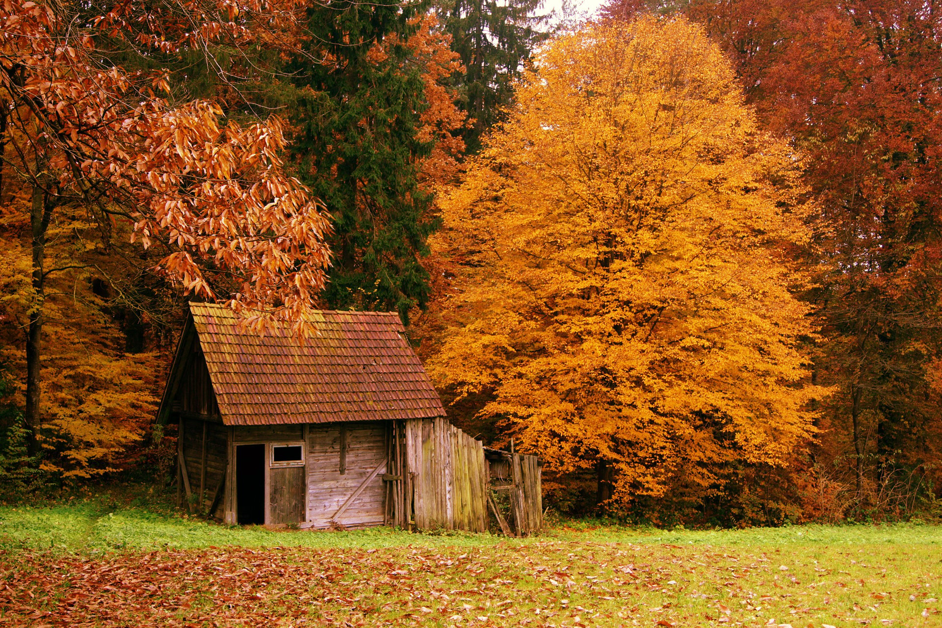 autumn 1 buildings 1 fall 1 forest 1 landscapes 1 nature 1 scenery 1