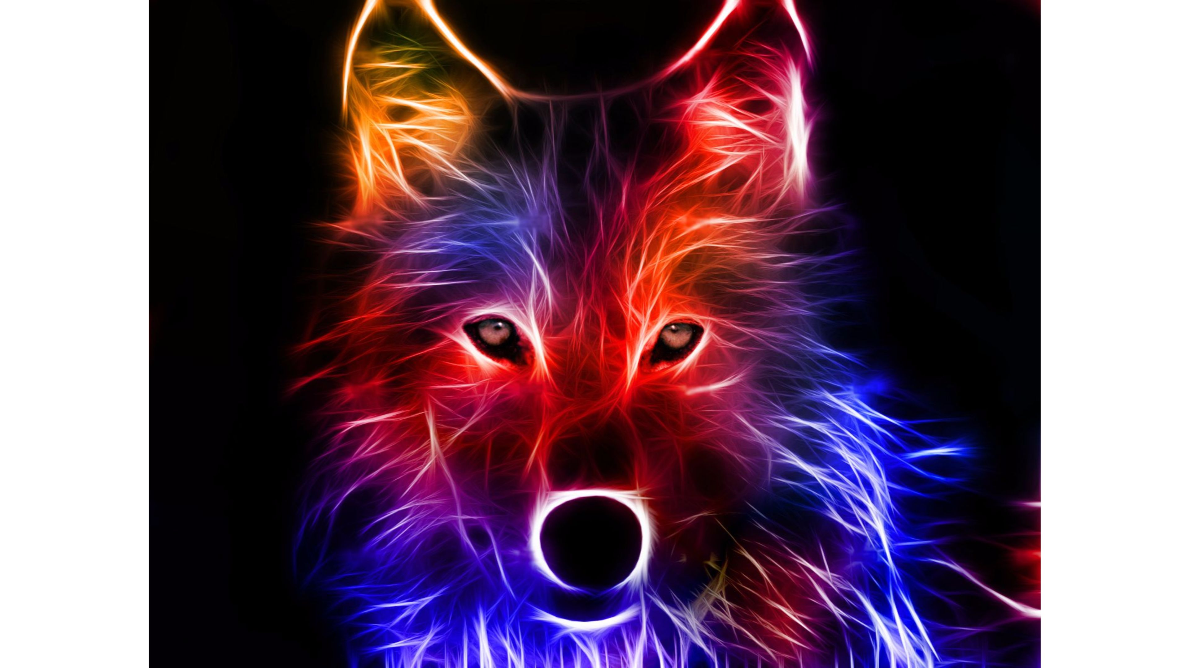 Wolf Wallpaper, Digital Art - Wallpaperforu