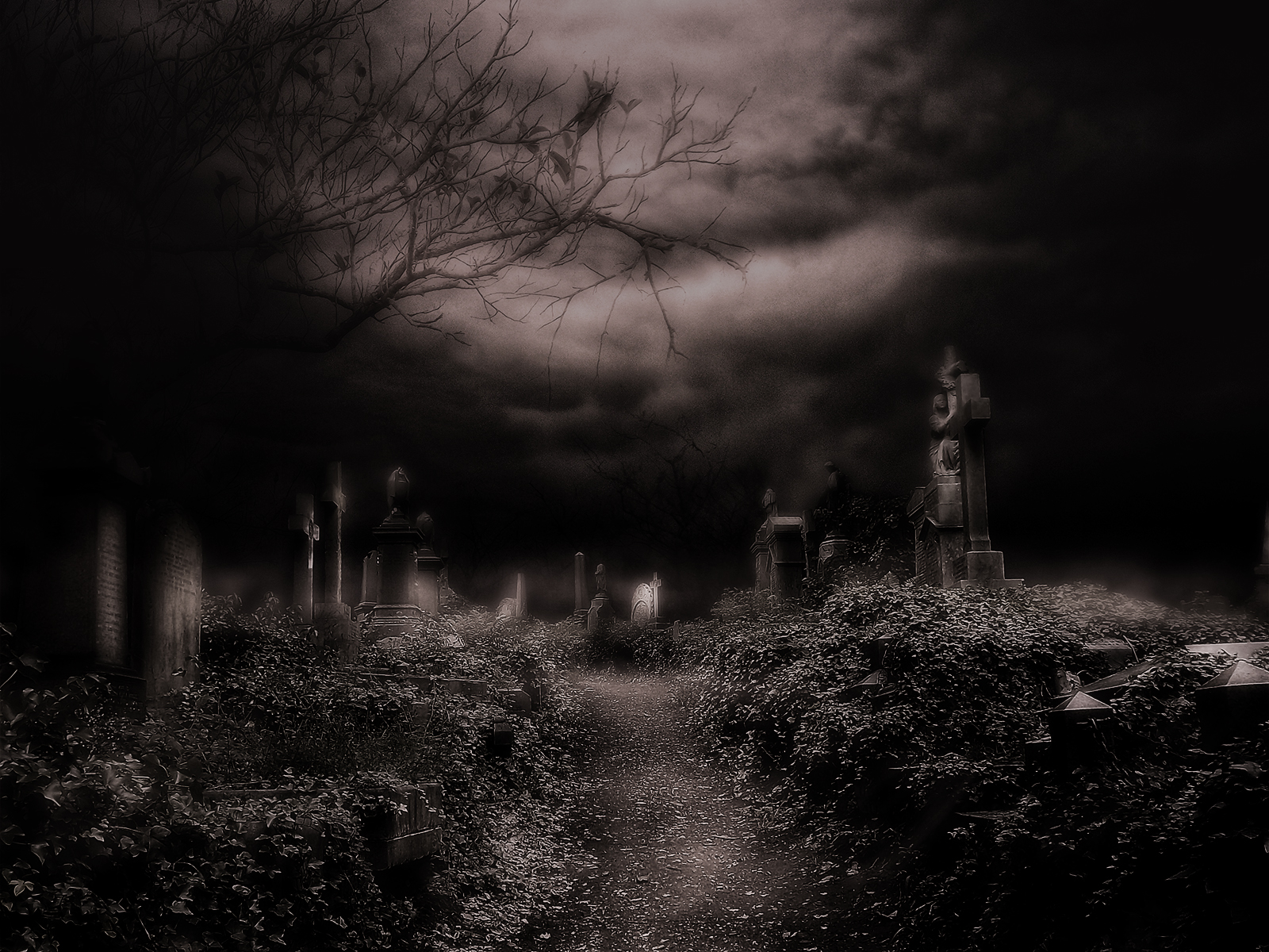 Graveyard Wallpaper and Background Image 1600x1200