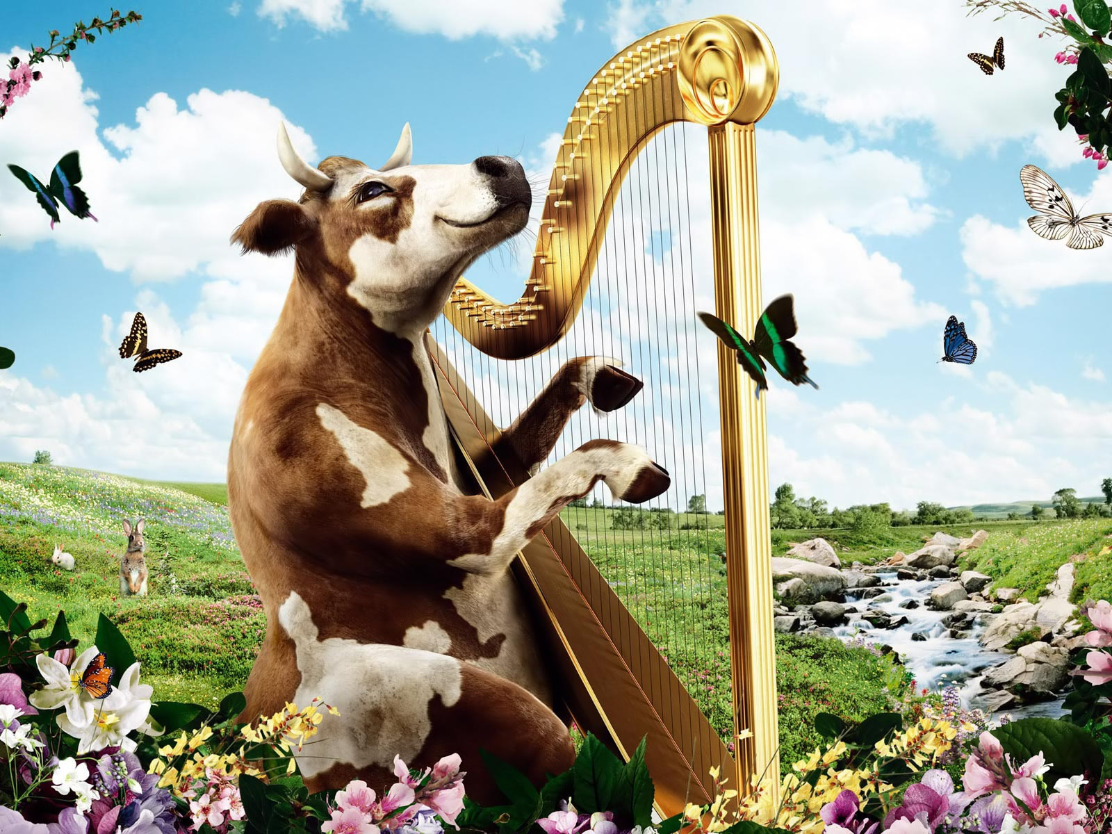 Funny Cow Harp HD Wallpaper 3d Abstract