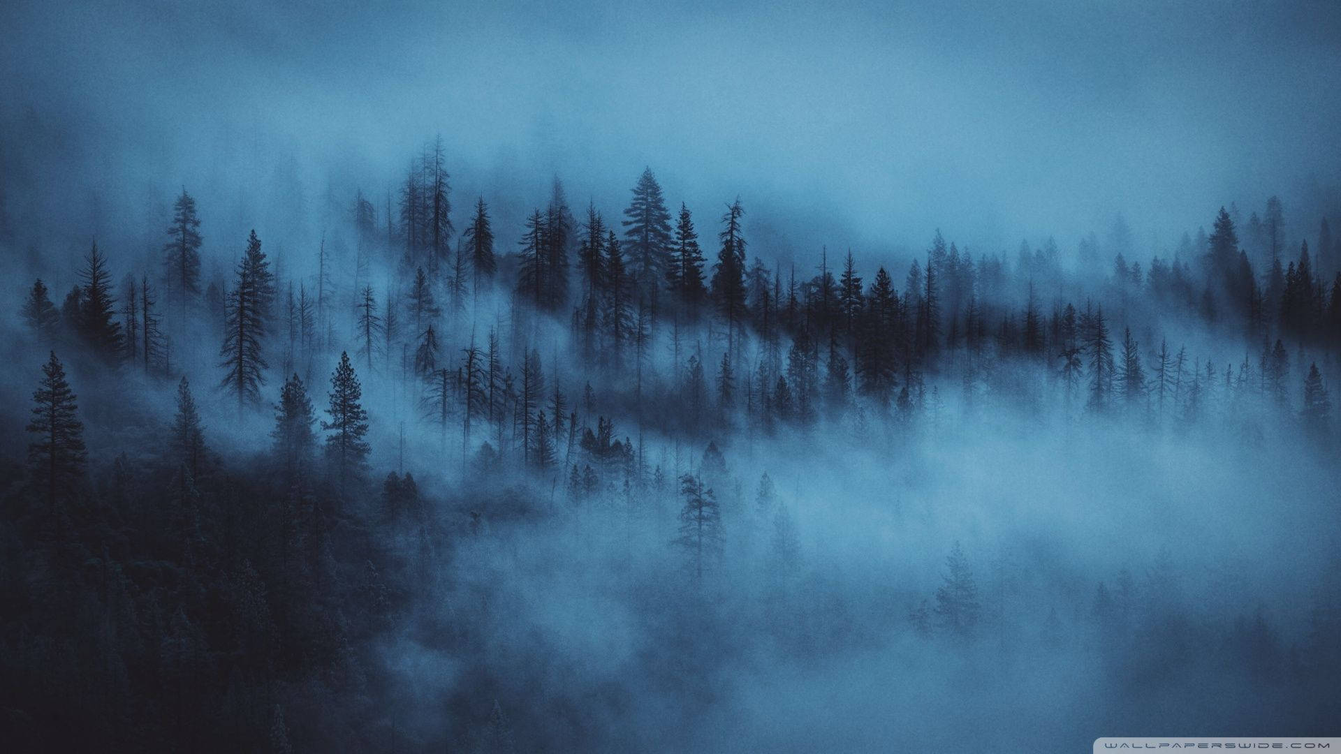 Aesthetic Dark Blue Wallpaper