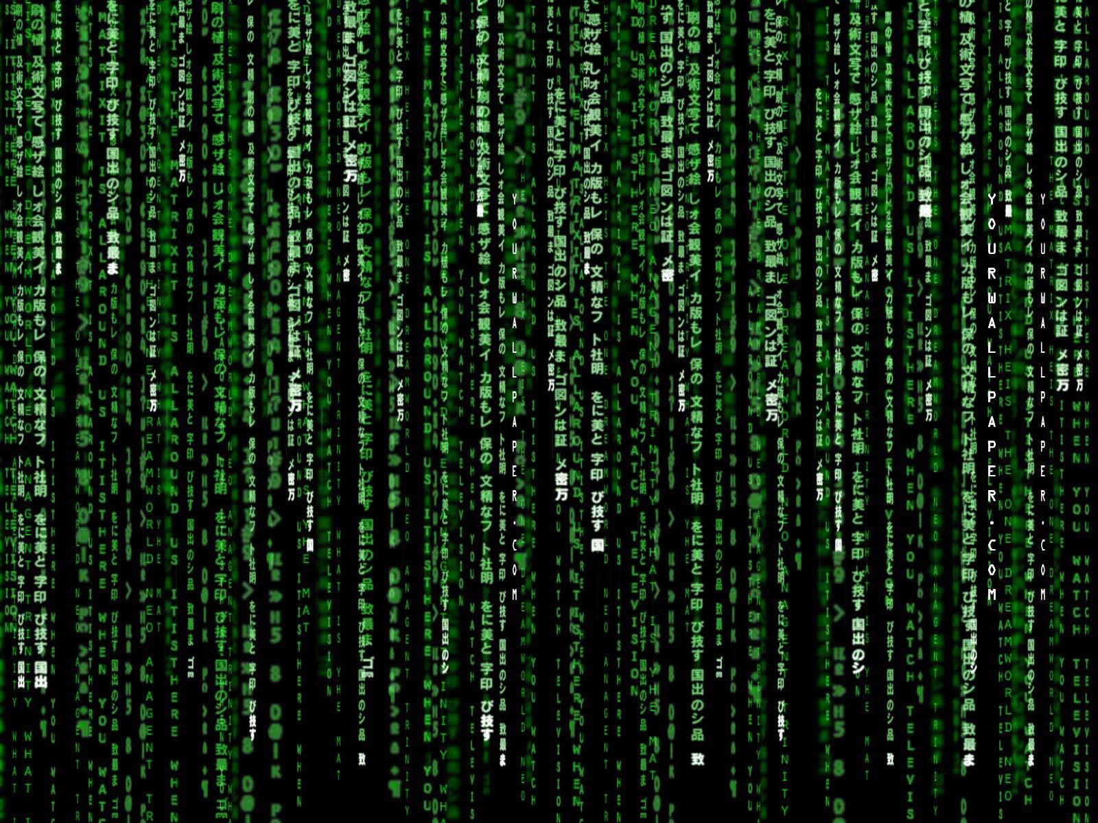 The Matrix HD Wallpaper And Background