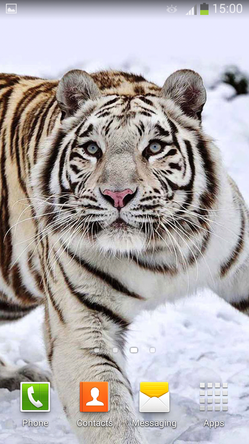 White Tiger Live Wallpaper   Android Apps on Google Play