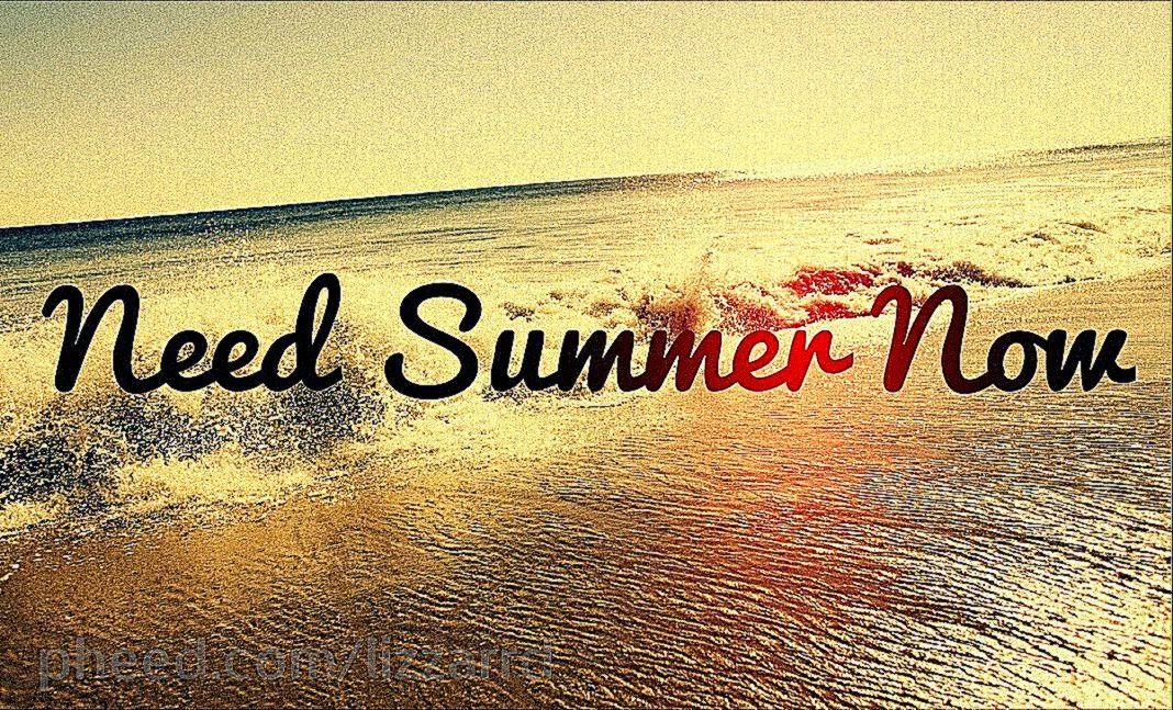 Photography Summer Quotes Background HD Wallpaper