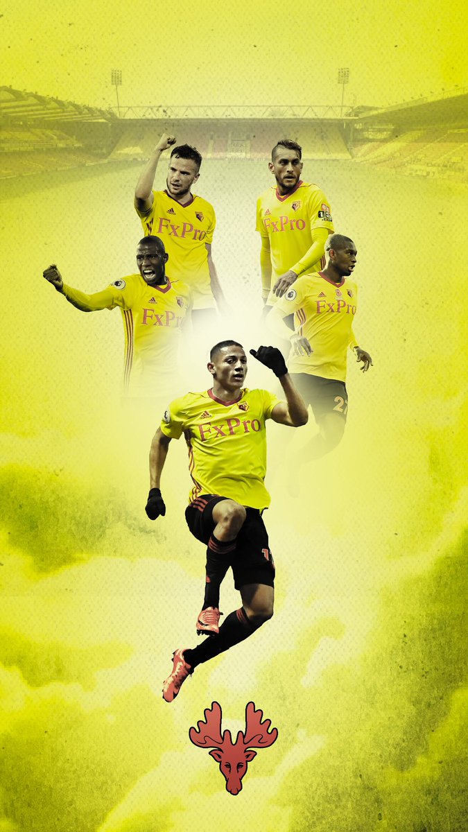 Mark Griffin On New Watfordfc Wallpaper For You Hors