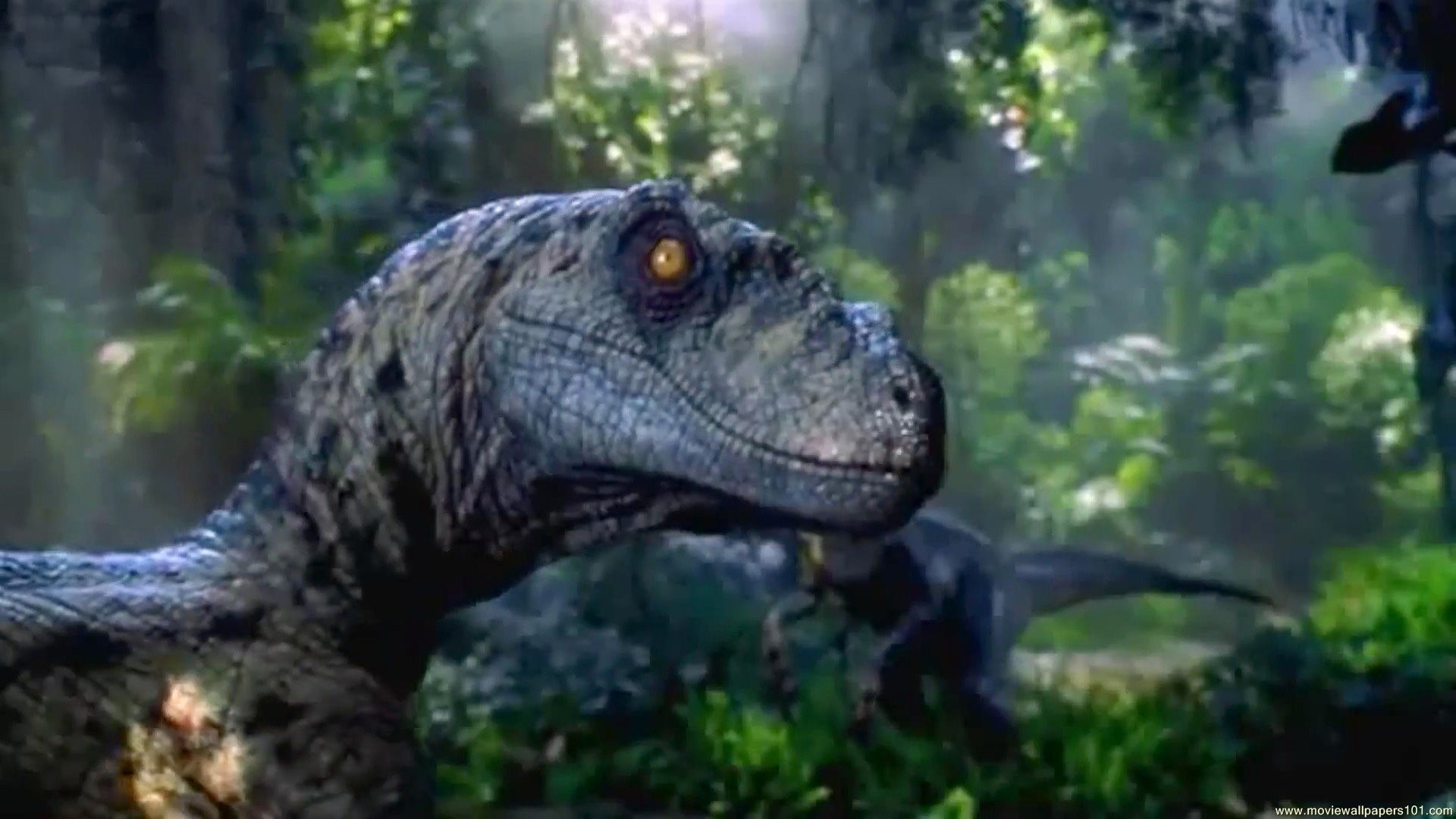 Jurassic World Wallpaper