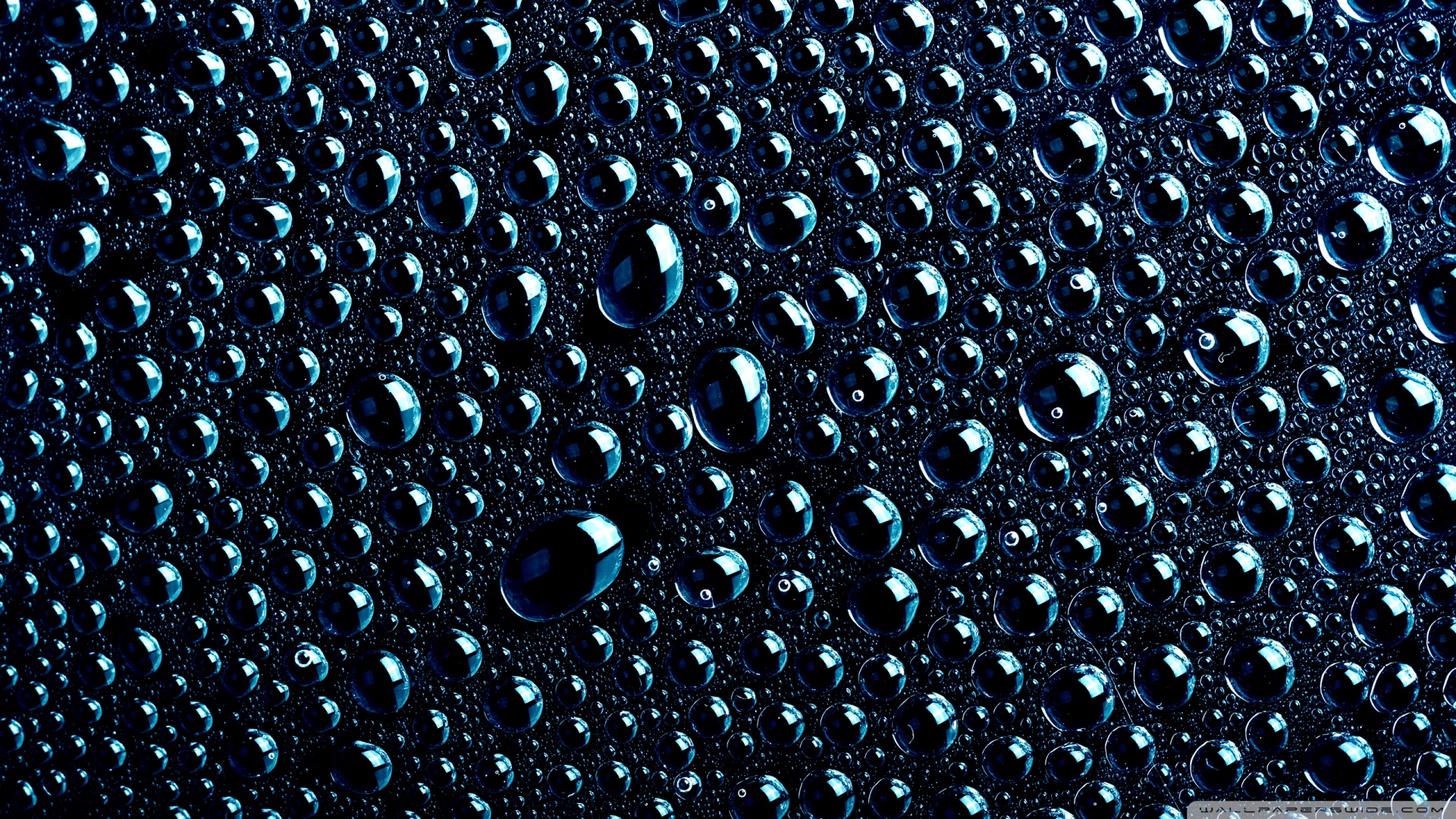 Black Drops Background Wallpaper