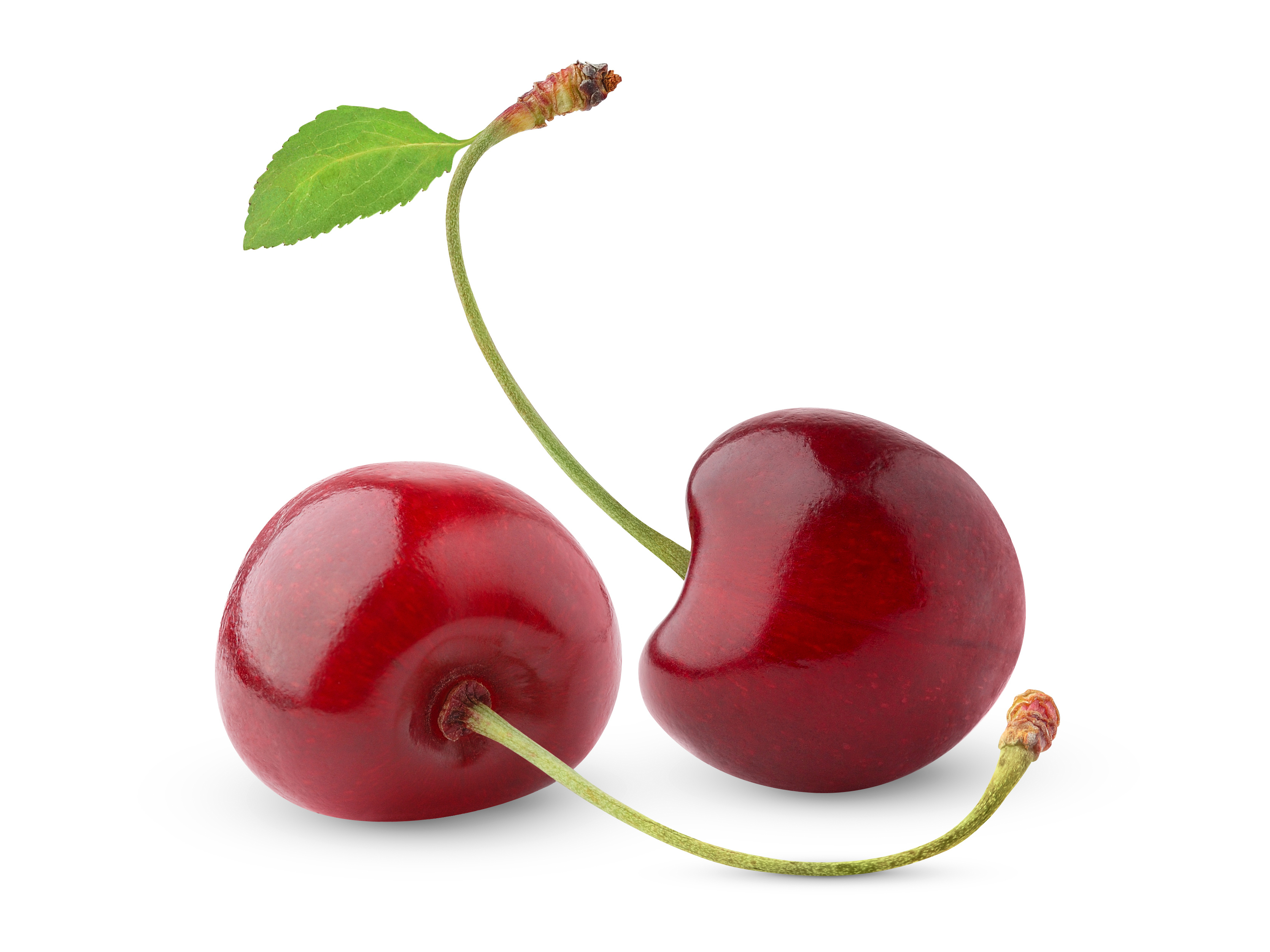 Red Sweet Cherry HD Wallpaper